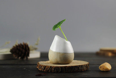 Jingdezhen ceramic modern creative small flower home accessories vase ceramic art flower decoration garden tea ceremony flower Jingdezhen ceramic modern creative small flower home accessories vase ceramic art flower decoration garden tea ceremony flower