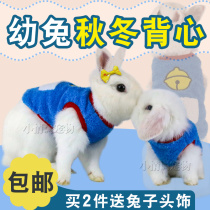Young Rabbit Clothing Pet Rabbit Warm Vest Pituitary Ear Rabbit Dwarf Rabbit Cat Cat Rabbit Clothes Rabbit Over Winter Supplies Clothes