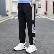 Boys' pants spring autumn 2022 new children's clothes thin quick-drying casual sports pants big boys handsome anti-mosquito pants