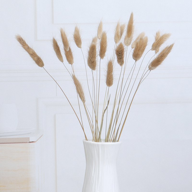 forget me not with vase dry flower bouquet natural flower daisy sky star small fresh home furnishing decoration