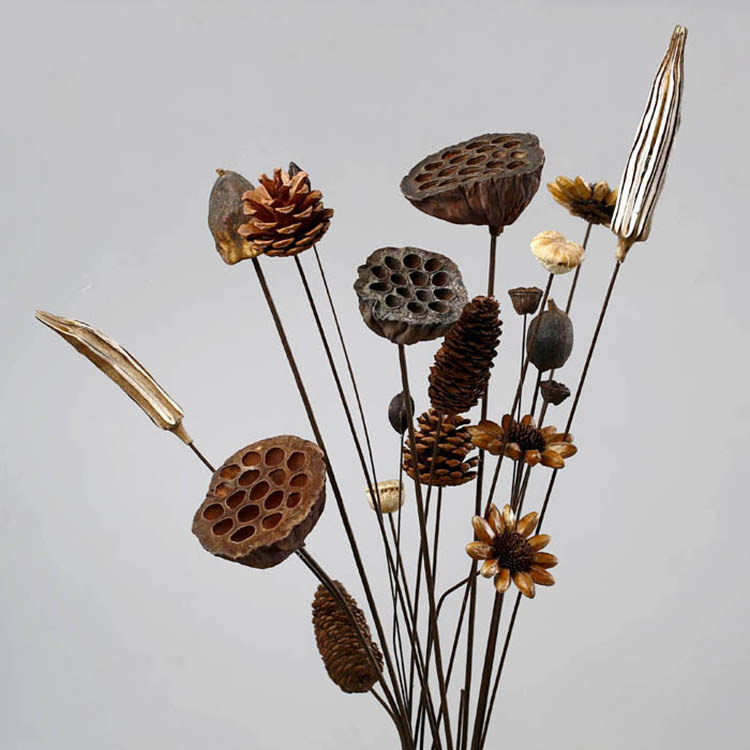 风物札记丨天然干花 原生态干莲蓬道具摆设 干枝花艺装饰插花干果