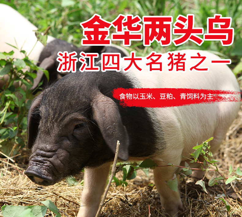 伟丰7瘦3肥金华两头乌广式腊肠400g