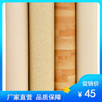 PVC floor leather Electric floor heating system Wall heating Household electric Kang with plastic floor Bedroom yoga hall