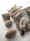 Home Cat Sauce Corrugated Paper Bell Cat Toy Dumbbell Ball Resistant to Scratching Claw Cat Scratching Board Pet Cat Supplies