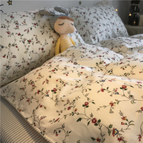 Pastoral style cotton four-piece set of small flowers simple fresh Korean double cotton quilt cover bed hats literary and artistic hipster