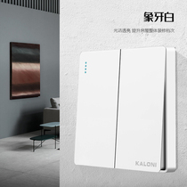 Type 86 concealed two-position switch socket panel two open single dual control household double open two power supply 2 switch White