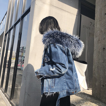 VOGUEV2018 winter denim to overcome the large coat female short section detachable fox fur liner raccoon fur collar fur