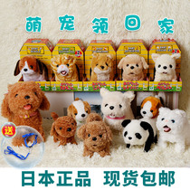 Japan iwaya simulation electric plush puppy electronic toy dog walking can be called Teddy dog birthday gift