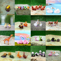 Rockery ornaments Bonsai accessories Absorbent stone gardening succulents potted fish tank decoration Moss micro-landscape animals