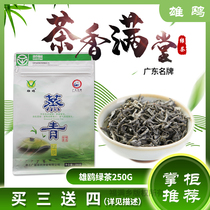 Male Gull Cards Steamed Green Tea 2022 New Tea Rich Selenium Bulk Warriors SUNNY SPRING TEA BAGGED 250g