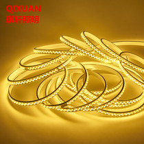 Lamp strip LED tri-color color household living room ceiling outdoor waterproof colorful neon color strip strip 220v