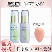 Argyle white plant wisdom cream counter Hydration brightening complexion concealer repair flagship store official website
