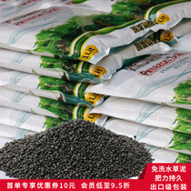 Amazon water Grass Mud aquarium fish tank landscaping supplies water grass bottom sand soil grass tank mud black mud long-term fertilizer
