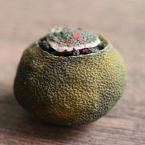 Xinhui Fragrant Xiaoqing Citrus Palace Puer Tea Xiaoqing Citrus Tangerine Peel Citrus Puer Citrus Tea 500g