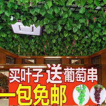 Artificial flowers grapes leaves rattan flowers rattan vines plastic fake flowers plants leaves green rattan pipe ceiling decoration