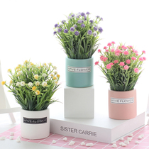 Simulation plastic fake flowers dried flowers starry sky small fresh potted suit ornaments home decoration table floral art