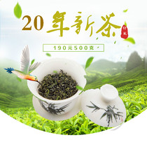 2022 Ming Dense Incense Day Photos Green Tea Spring New Tea Leaves New tea Alpine Cloud mist Bulk Dense Aroma 500g