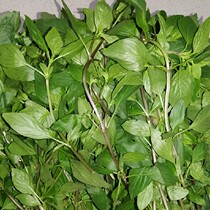 Fresh Nine-story Tower Hung Cho Side Vegetable Basil Gold No Spices