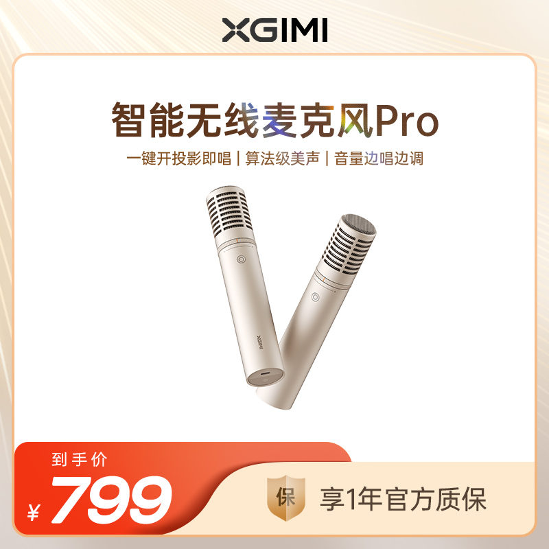 Extreme Rice Wireless Microphone Pro Pair of double versions Hardware Level Professional tuning 6 Acoustic Key Linkage Projection Home K Song Microphone-Taobao