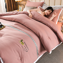 Soybean fiber is thickened by winter quilt and warm spring and autumn quilt quilt Core Four Seasons Universal single double quilt winter bedding