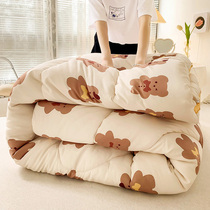 Quilt winter quilt Four Seasons Universal single double spring and autumn bedding student dormitory winter washable cotton quilt core thickening