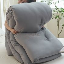 Soybean fiber quilt Four Seasons universal winter air conditioning quilt spring and autumn quilt winter thickened warm bedding winter