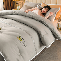 Soybean fiber is thickened by winter and warm spring and autumn air conditioning quilt dormitory single student cotton quilt Core Four Seasons Universal