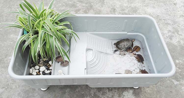 生态塑料龟箱 养龟箱 半水龟箱 龟缸 乌龟繁殖箱 龟托 龟池龟盒_双氙