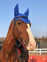 European brand Maleared Horse mask Soundproof Horse headhood Horse with crochet hook Head Accessories Big Trumpet
