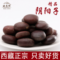 Yin and Yang Zi Tibetan big kidney tree treasure 250g should be Suoyangcistanche double kidney merry fruit bubble wine