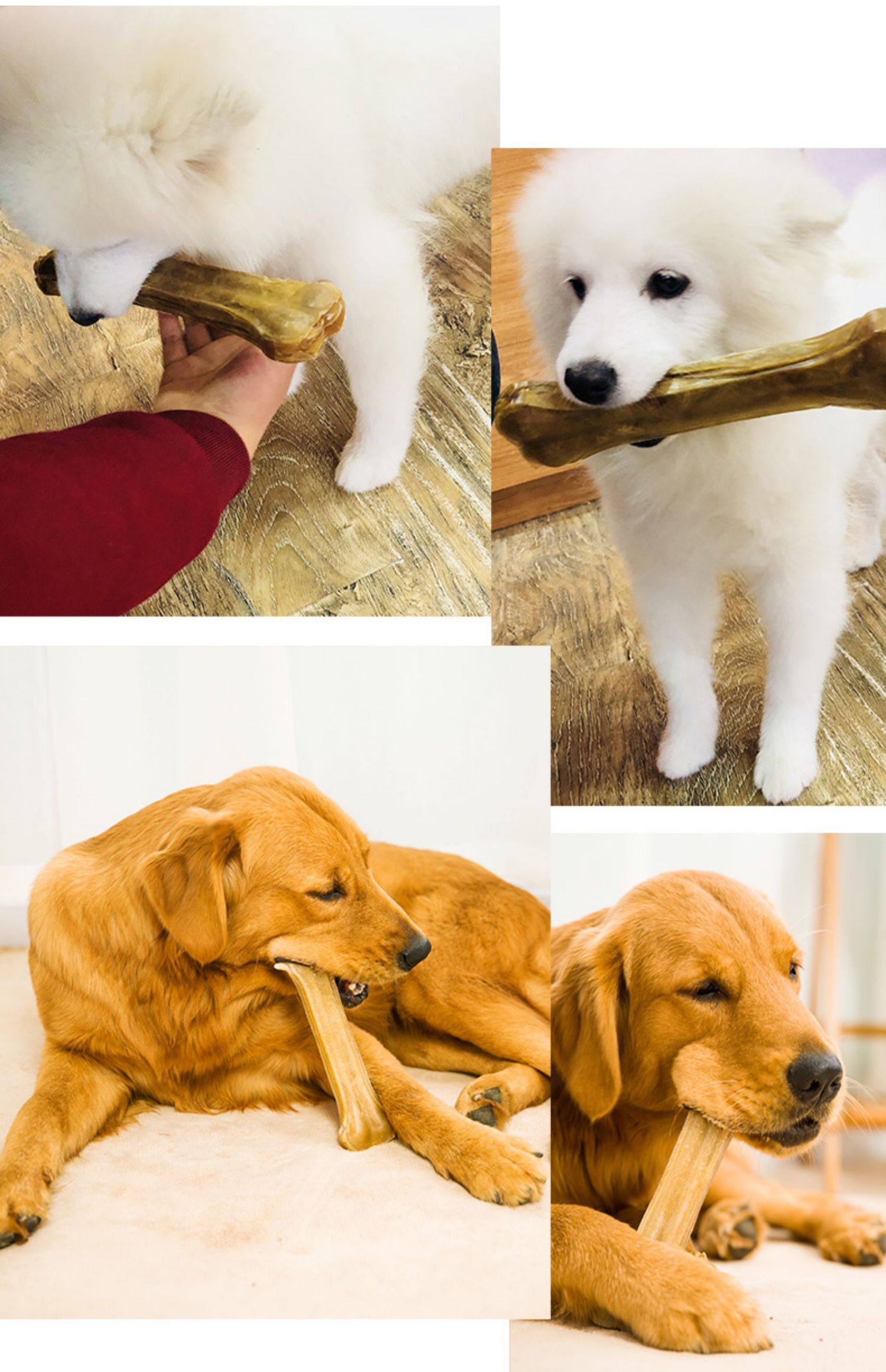 狗狗磨牙棒耐咬磨牙幼犬狗零食泰迪金毛咬胶