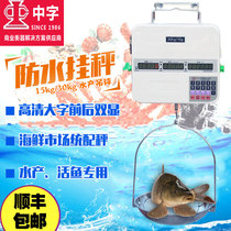 Hillsong brand waterproof electronic scale Aquatic seafood scale commercial 30kg hanging scale double-sided display selling fish scale hanging scale hanging scale