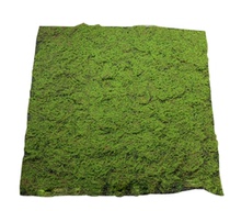 Simulated moss window micro-landscape plant wall thickened yellow-green fake turf carpet