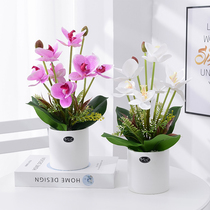 Simulation flower art decoration hand feel PU Phalaenopsis set fake flower decoration bouquet dried flower living room indoor silk flower decoration