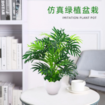 Simulation plant plastic fake flower and grass green loaf potted green planting living-room indoor decoration floor bonsai floral art pendulum piece