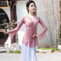 Classical dance body rhyme gauze clothes elegant dance practice clothes Chinese style female national ballet mesh modern dance performance clothes