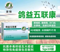 Its a dove and a good one.