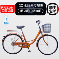 Flying pigeon bicycle Adult lightweight work riding commuting men and women City fashion retro bike Aquarius