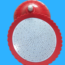 LED lamp beads pork fresh Lamp raw meat lamp vegetable lamp cooked food lamp fruit lamp supermarket chilled lamp screw household