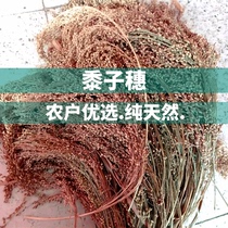 Millet ear natural high - quality celiac ear scenery Harden grain parrot snack whole strap with leaf shell