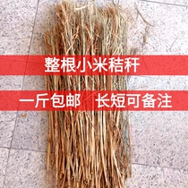 Farmers hand harvest grain straw grain straw straw millet straw straw cushion grass 6 yuan per kilogram can be crushed