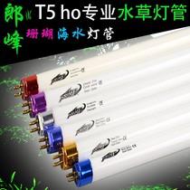 T5HO Longfeng Lamp T5ho Lamp Water Grass Lamp for Helios Lamp t5 Aquarium Grass Cylinder Langfeng Lamp
