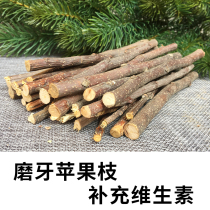 Squirrel Hamster Grinding Tooth Rod Grinding Tooth Stone Rabbit Dragon Cat Golden Silk Bear Apple Branch Wood Grinding Tooth Zero Food Items Suit
