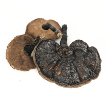 Guangxi authentic pure wild Ganoderma dry goods whole black Linzhi can be sliced ​​and soaked in wine natural purple Ganoderma 500g