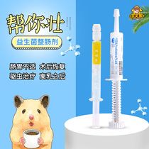 (laughs at home) US Baker helps you with the strong probiotic hamster soft poo and wet tail conditioning golden silk bear health products