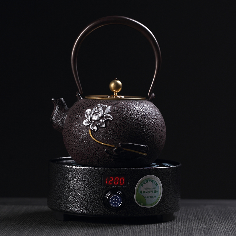 Craft brother pot electricity TaoLu suit Japanese iron teapot tea health household iron kettle boiling kettle