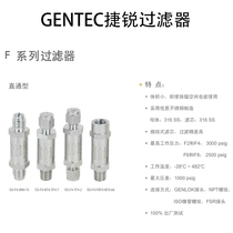 GENTEC Jierui stainless steel 316L straight-through tee filter F series gentec filter