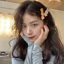 INS Japan-South Korea Hair Accessories CLIP HEAD ACCESSORIES SENSWOMENS WOOL THREAD FLOWERS HAIRPIN TEMPERAMENT GIRL LIU HAI CLIP SIDE CLIP