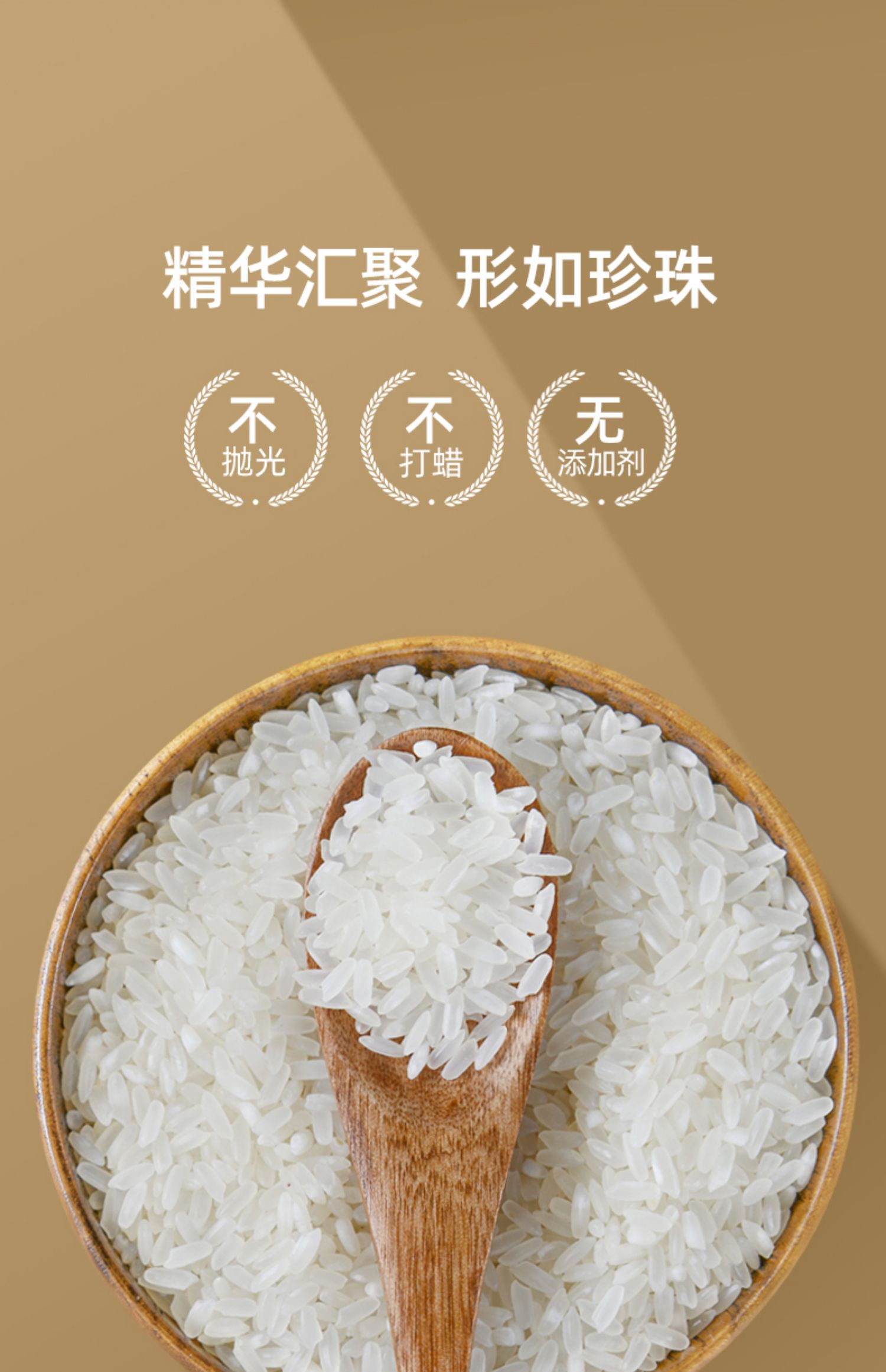 庄行谷满香 南粳46号软糯香圆粒米5斤