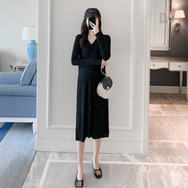 2020 New pregnant women dress Korean version of thin spring and autumn base skirt wear knee long ice silk skirt tide